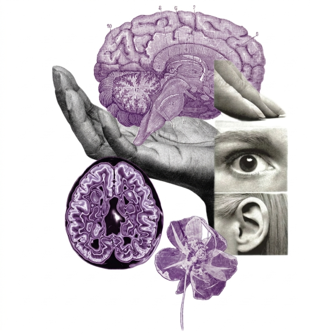 Detal Architektoniczny dobrostan STUDIO